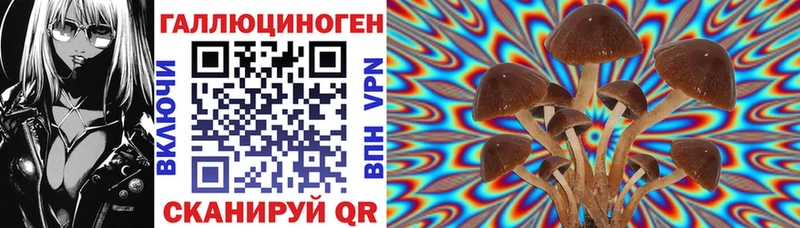 Псилоцибиновые грибы прущие грибы  Купить  Бахчисарай 